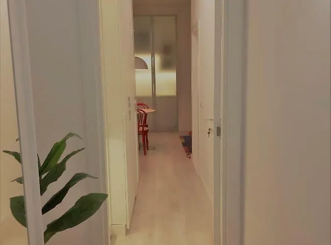 Momo 123 * بلغراد