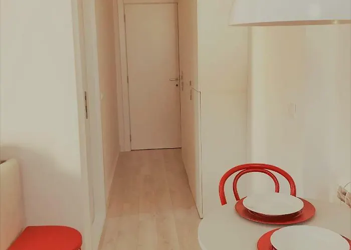 Momo 123 بلغراد