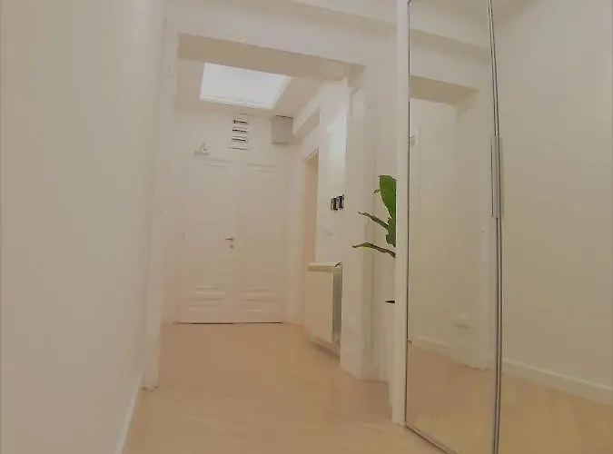 Momo 123 بلغراد